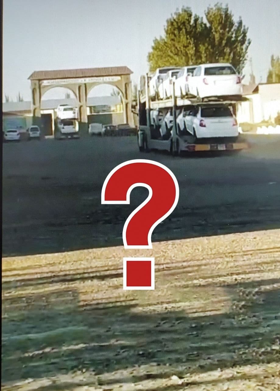 КУДА И ЗАЧЕМ ЕДУТ ДЖЕНТРЫ?